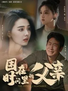 困在时间里的父亲海报