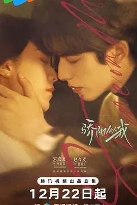 骄阳似我（2025）海报
