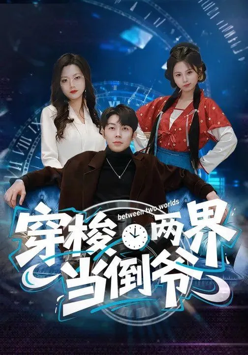 穿梭两界当倒爷海报