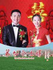 第九个女婿海报