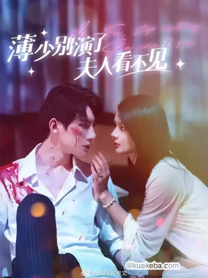 薄少别演了夫人看不见海报