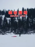 峡谷情缘海报