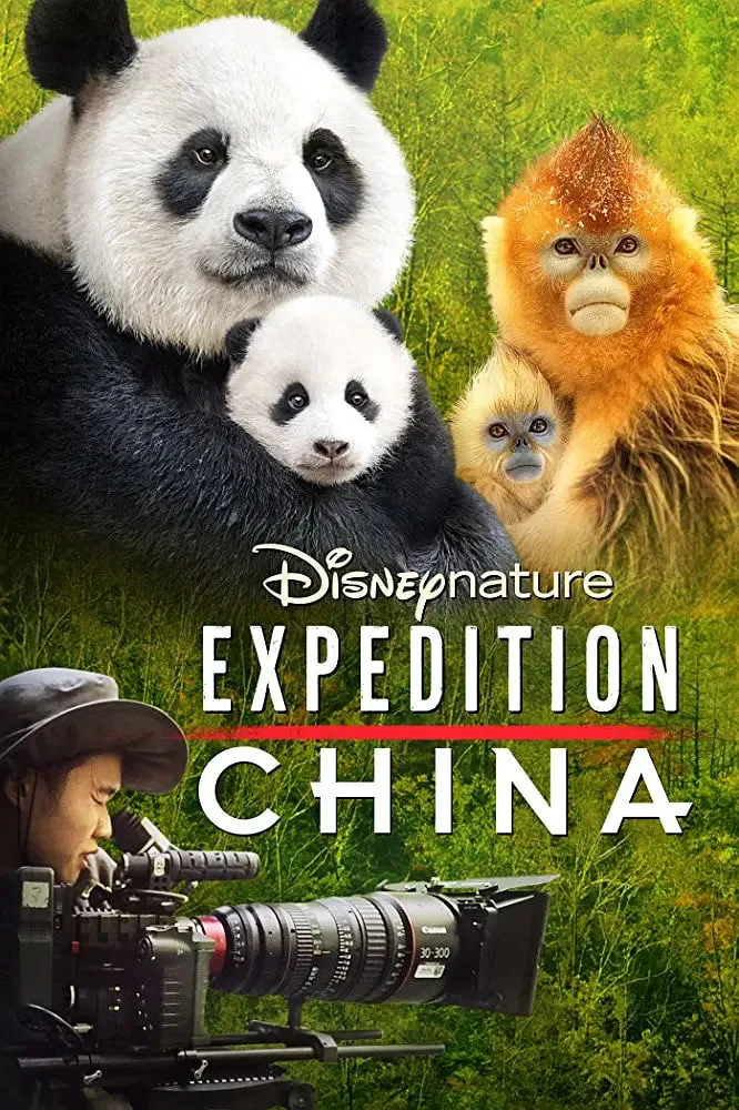 探险中国海报