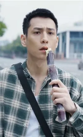 骄龙海报
