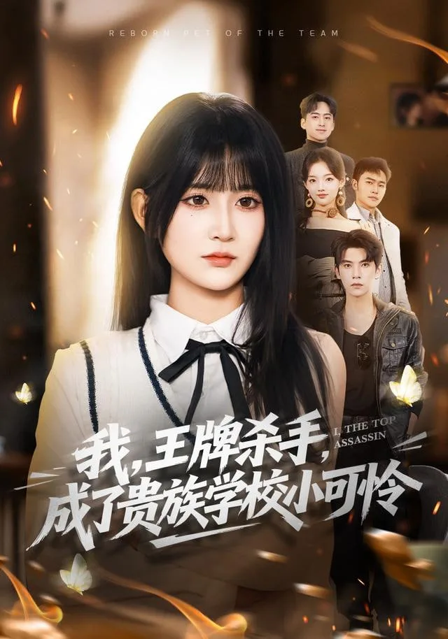 我，王牌杀手，成了贵族学校小可怜（我王牌杀手成了贵族学校小可怜）海报