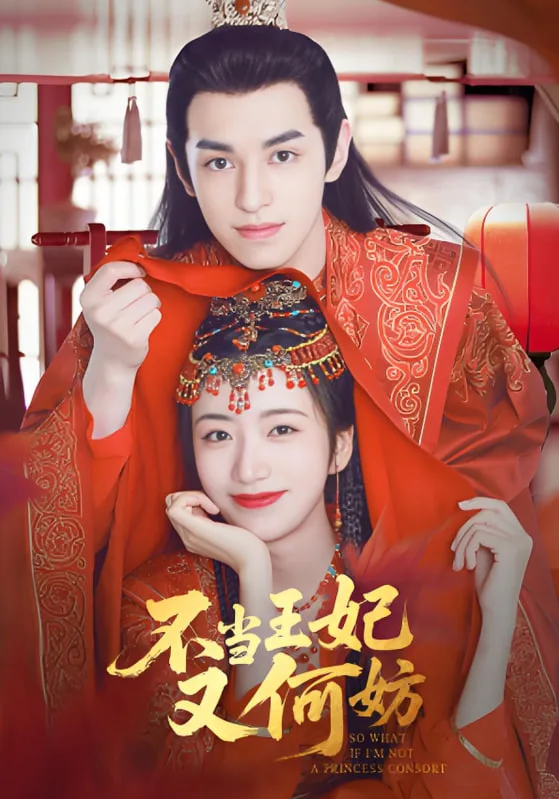 不当王妃又何妨海报