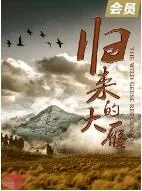 归来的大雁海报