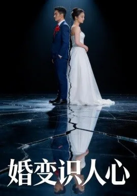 婚变识人心海报