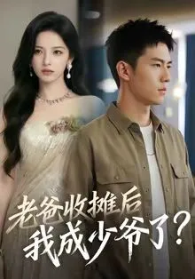 老爸收摊后，我成少爷了海报