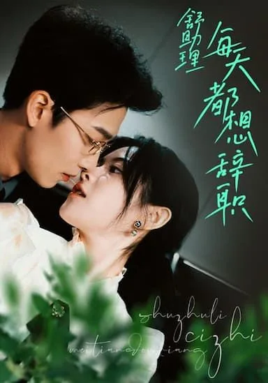 舒助理每天都想辞职海报