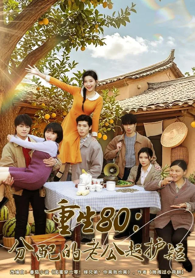 重生80：分配的老公超护短海报