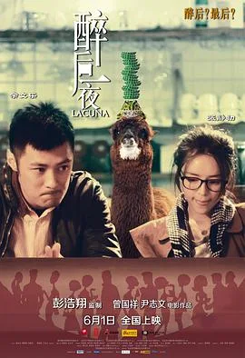 醉后一夜海报
