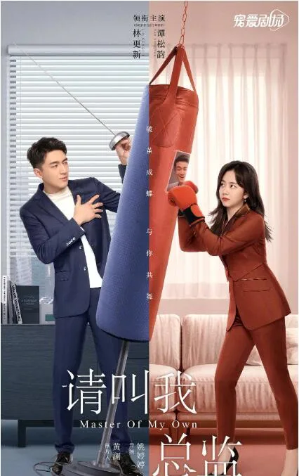 请叫我总监海报
