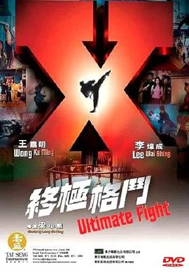 终极格斗（粤语版）海报