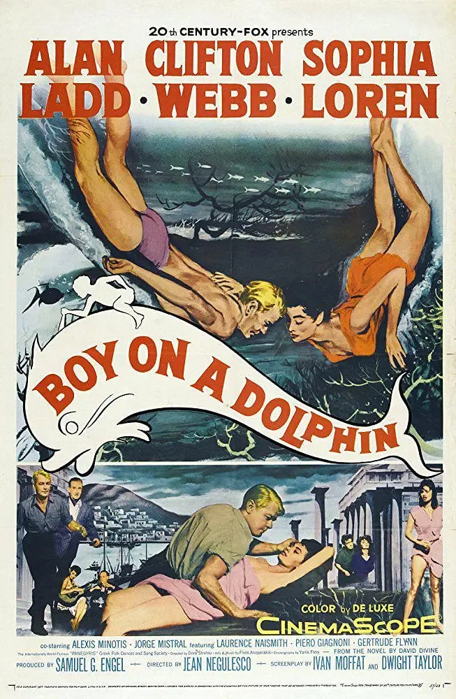 金童海豚海报