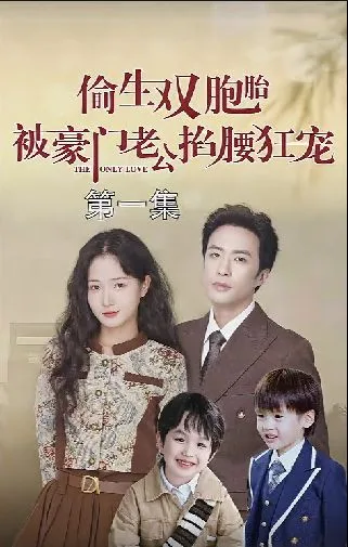 偷生双胞胎被豪门老公掐腰狂宠海报
