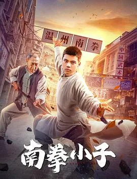 南拳小子海报