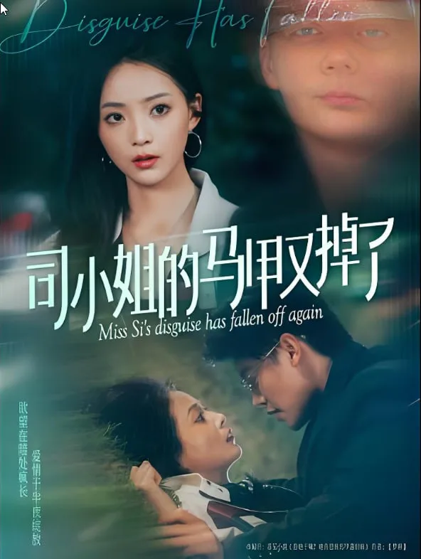 司小姐的马甲又掉了海报