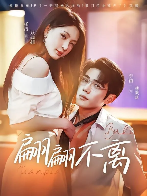 翩翩不离海报
