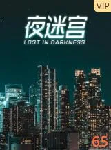 夜迷宫海报