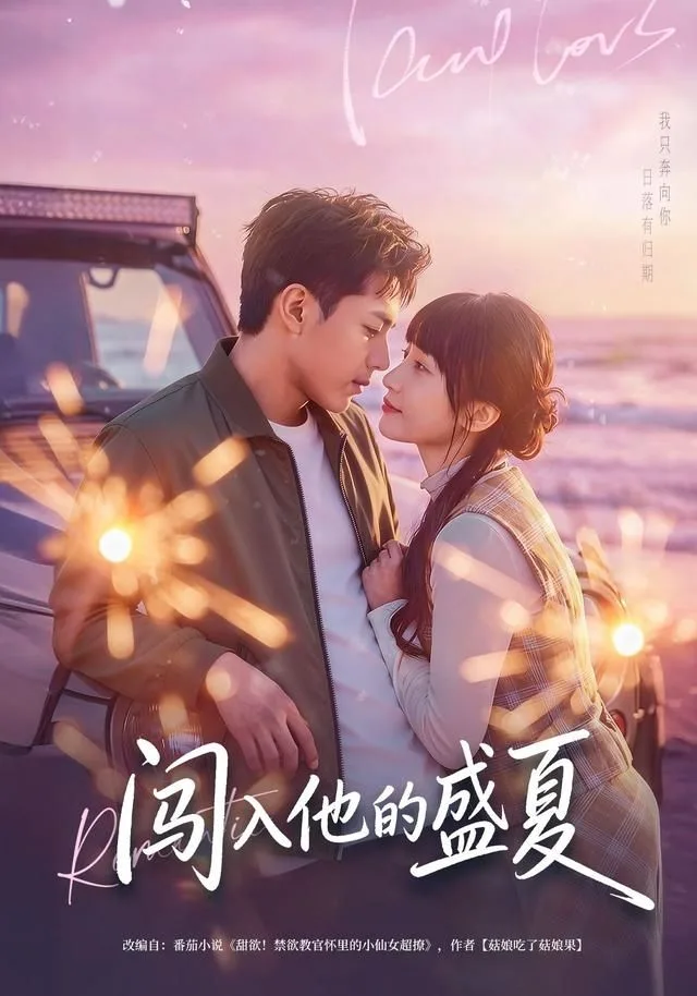 闯入他的盛夏海报