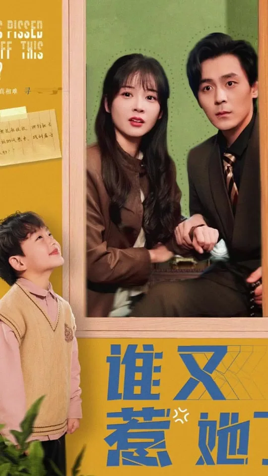谁又惹她了海报