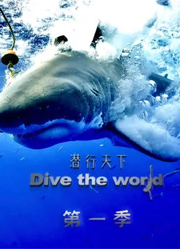 潜行天下海报