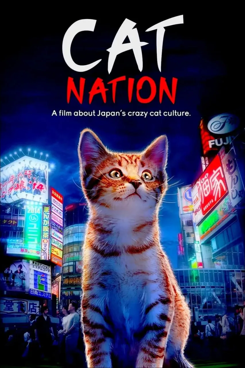 猫咪国度海报