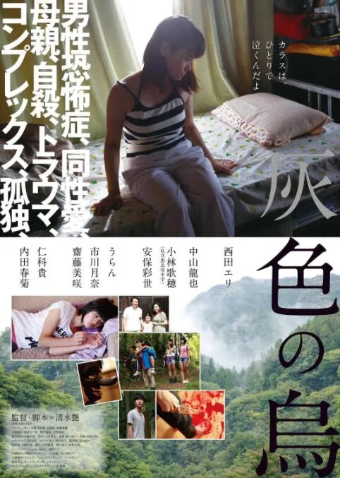 灰色乌鸦海报