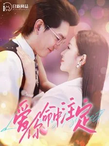 爱你命中注定海报
