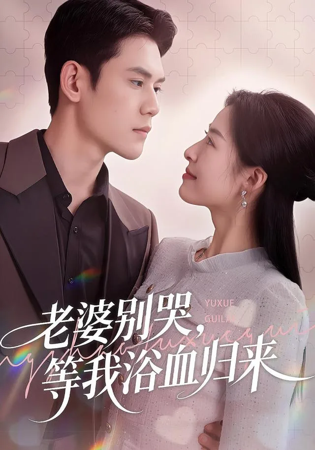 老婆别哭，等我浴血归来海报
