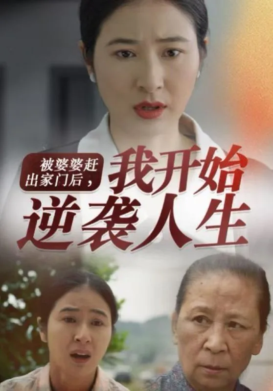 被婆婆赶出家门后我开始逆袭人生海报