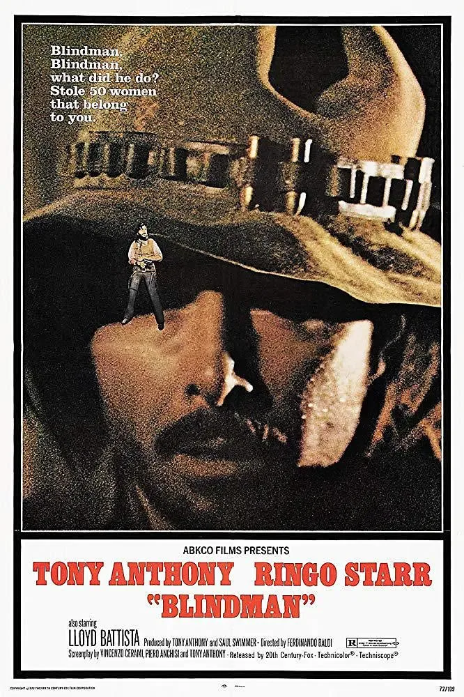 独行盲杀手海报
