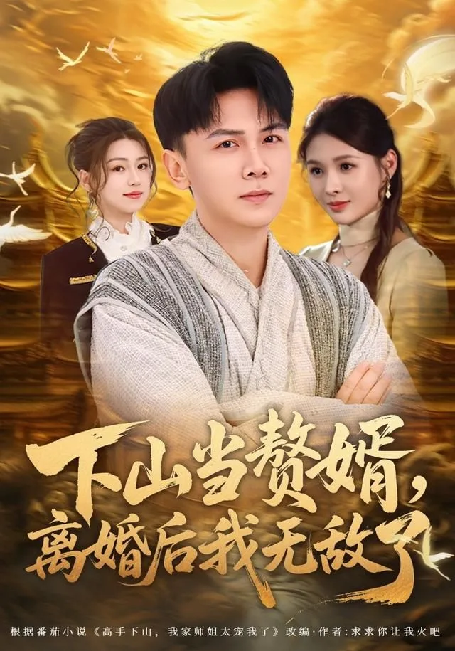 下山当赘婿，离婚后我无敌了海报