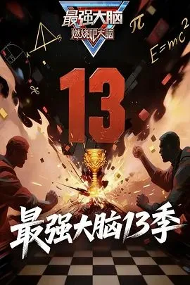 最强大脑第13季海报