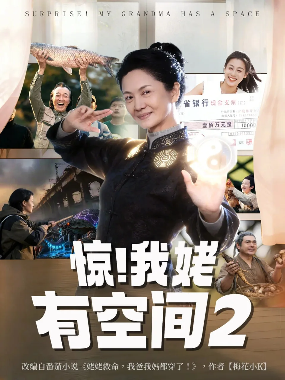 惊！我姥有空间海报