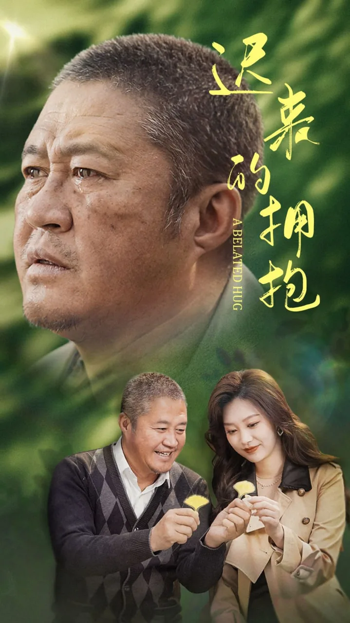 迟来的拥抱海报