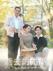 逝去的婚姻海报