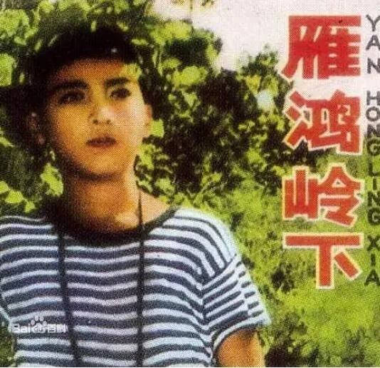 雁鸿岭下海报