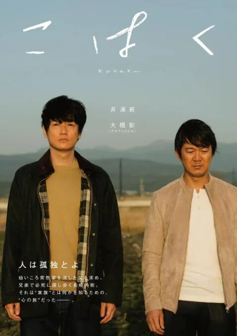 琥珀海报