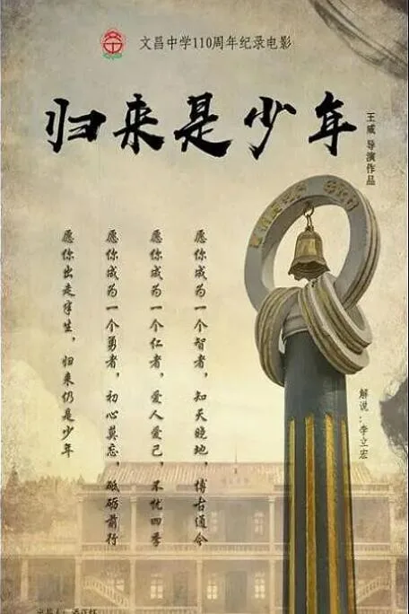 归来是少年海报