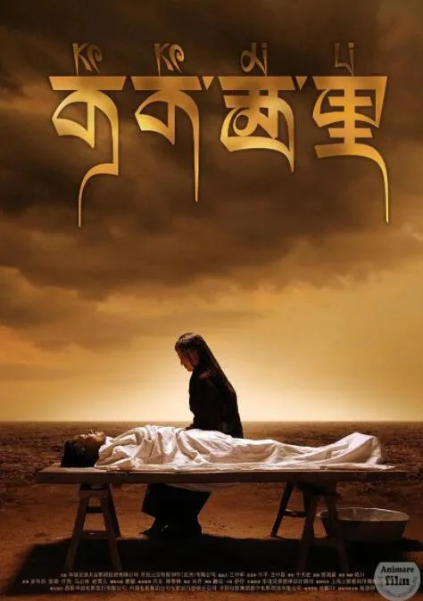 可可西里海报