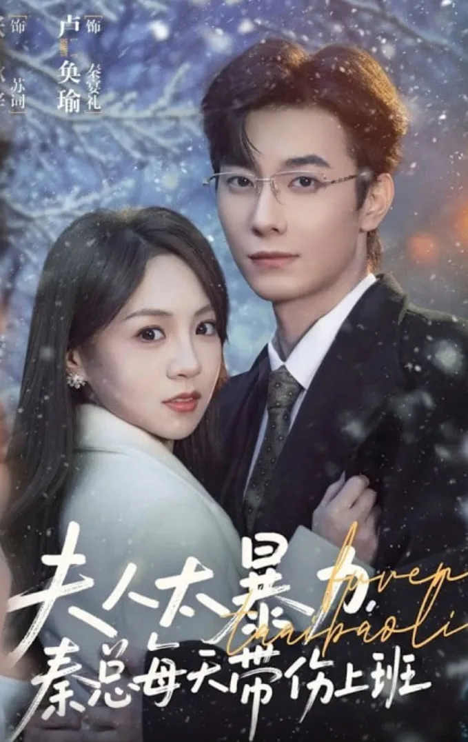 夫人太暴力，秦总每天带伤上班海报