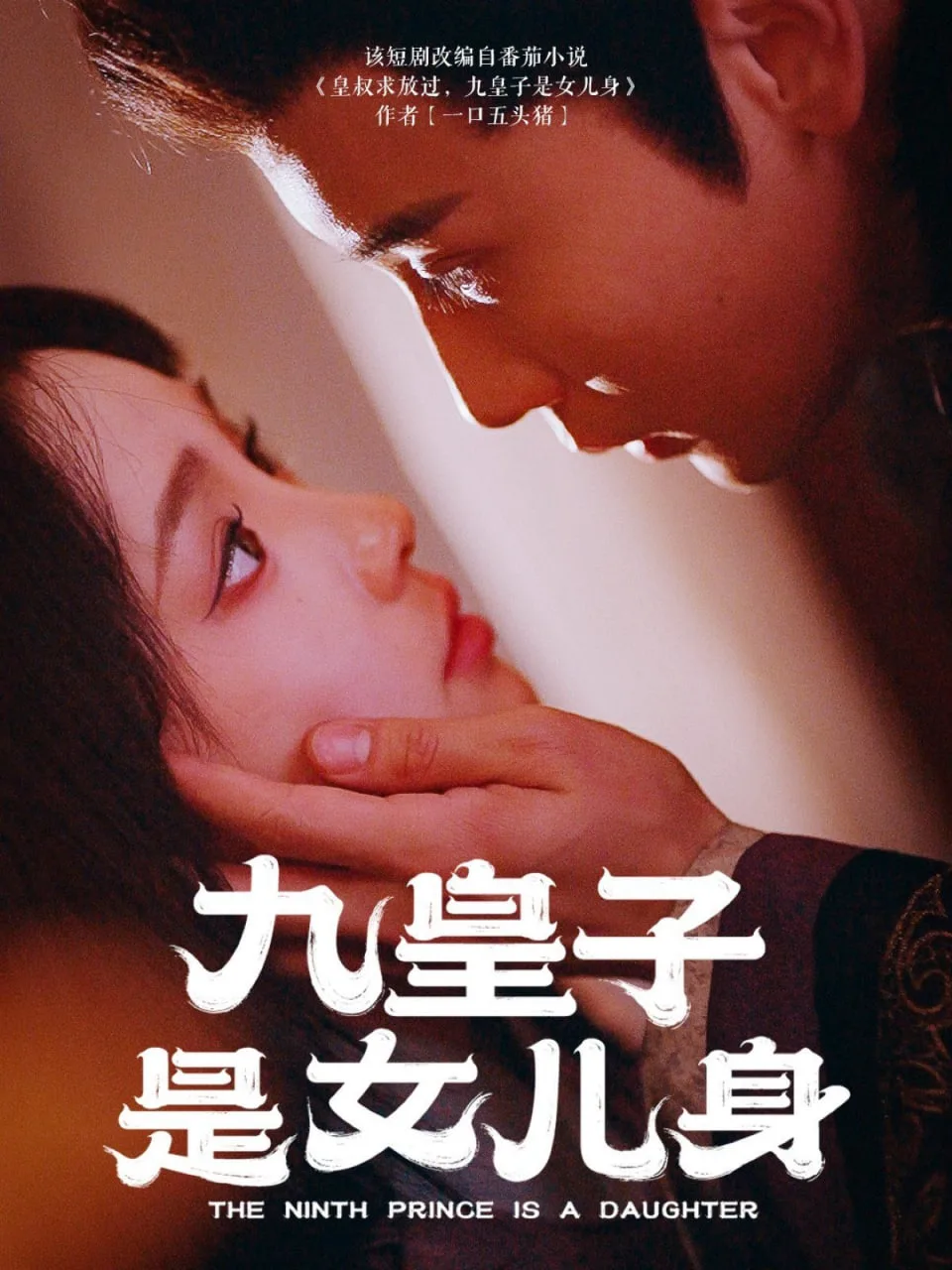 九皇子是女儿身海报