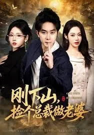 刚下山捡个总裁做老婆海报
