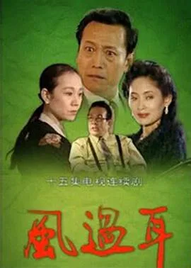 风过耳海报