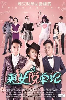 剩女脱单记海报