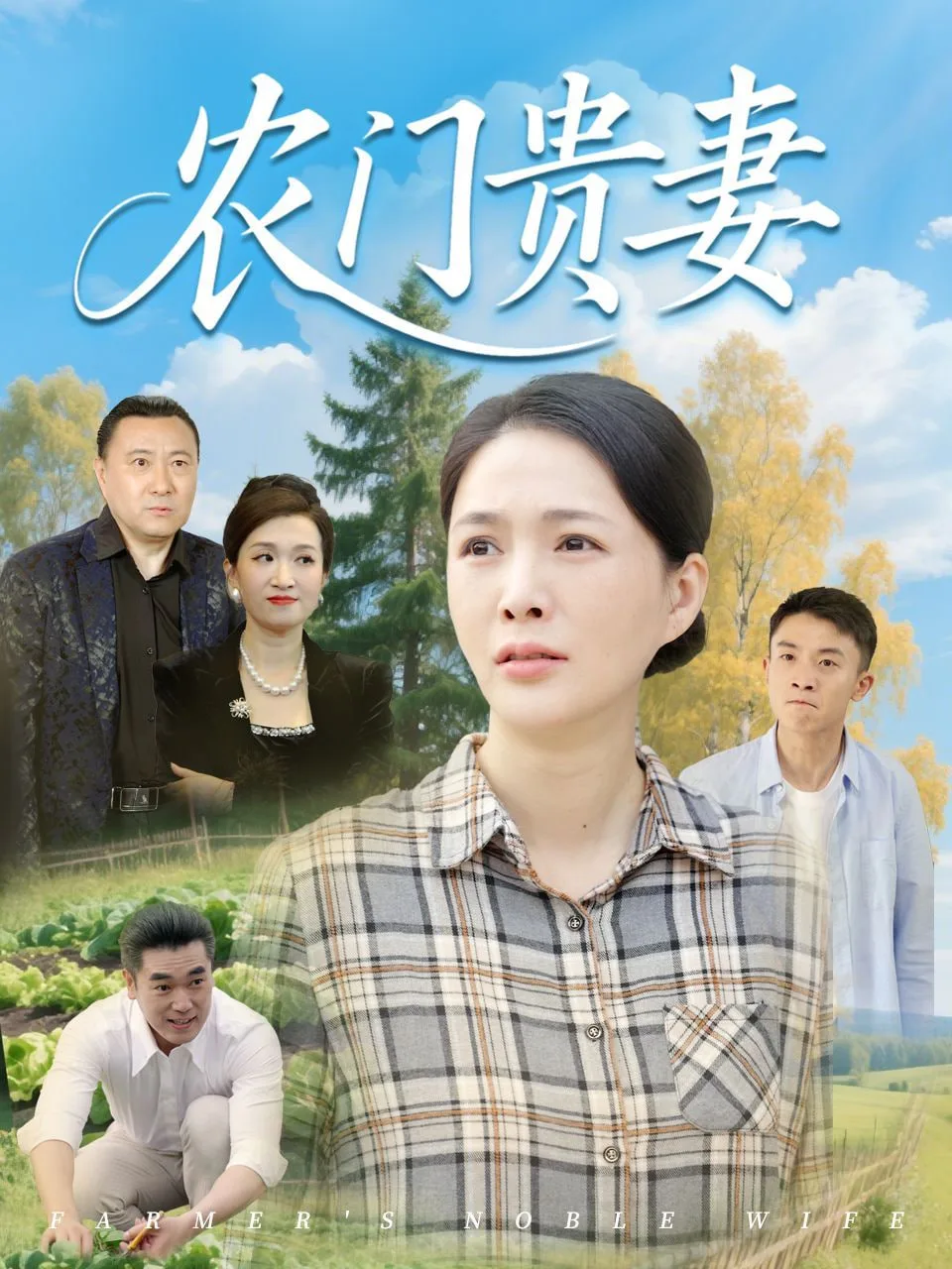 农门贵妻海报
