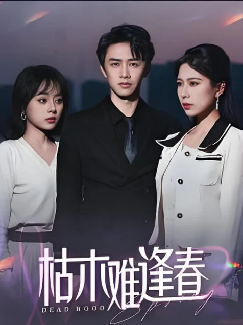 枯木难逢春海报