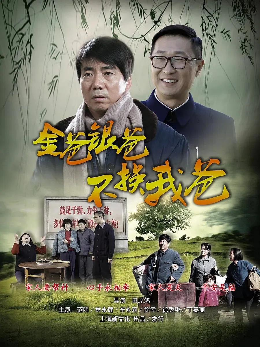 平凡的岁月海报